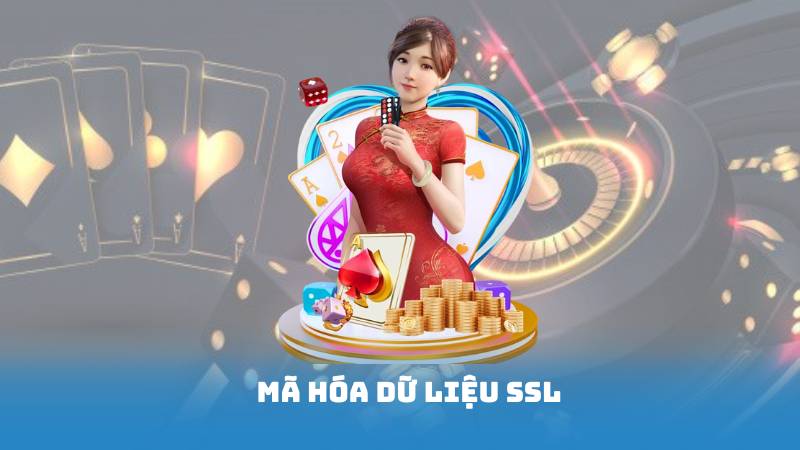 Mã Hóa Dữ Liệu SSL